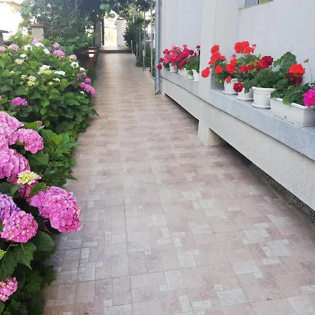 Hotel Albatros 2 Family