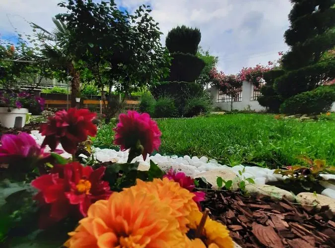 Hotel Albatros 2 Family Kiten (Burgas)