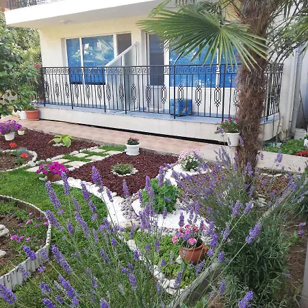 Albatros 2 Family Hotel 2*