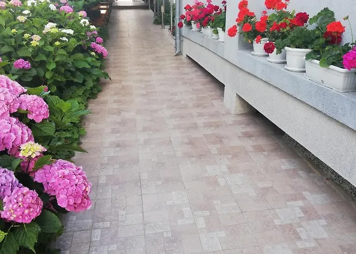 Hotel Albatros 2 Family